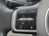 Thumbnail of 2024 Panthera Metal Kia Carnival