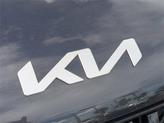 Thumbnail of 2024 Panthera Metal Kia Carnival