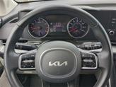 Thumbnail of 2024 Panthera Metal Kia Carnival