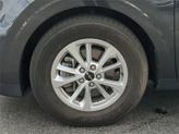 Thumbnail of 2024 Panthera Metal Kia Carnival