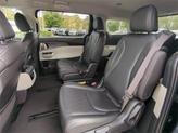 Thumbnail of 2024 Panthera Metal Kia Carnival
