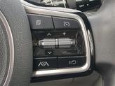 Thumbnail of 2024 Panthera Metal Kia Carnival
