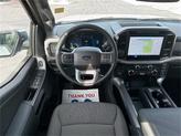 Thumbnail of 2025 Oxford White Ford F-150