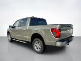 Thumbnail of 2025 Gray Ford F-150