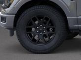 Thumbnail of 2025 Gray Ford F-150