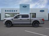 Thumbnail of 2025 Gray Ford F-150