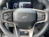 Thumbnail of 2022 Carbonized Gray Metallic Ford Bronco