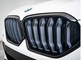 Thumbnail of 2023 Alpine White BMW X6