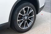 Thumbnail of 2017 Alpine White BMW X5