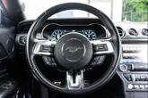Thumbnail of 2019 Race Red Ford Mustang