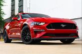 Thumbnail of 2019 Race Red Ford Mustang
