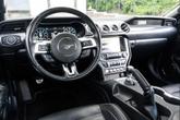 Thumbnail of 2019 Race Red Ford Mustang