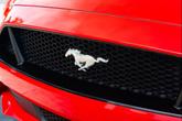 Thumbnail of 2019 Race Red Ford Mustang
