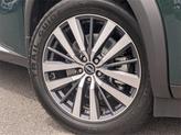 Thumbnail of 2022 Obsidian Green Nissan Pathfinder