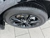 Thumbnail of 2025 Crystal Black Pearl Honda Accord