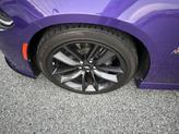 Thumbnail of 2019 Plum Crazy Pearlcoat Dodge Charger