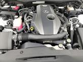 Thumbnail of 2019 White Lexus IS 300