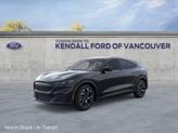 Photo of 2025 Shadow Ford Mustang Mach-E