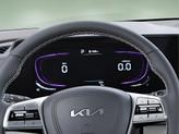 Thumbnail of 2025 Panthera Metal Kia Telluride