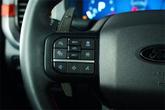 Thumbnail of 2024 Avalanche Ford F-150