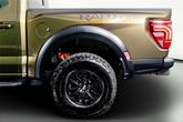 Thumbnail of 2024 Shelter Green Ford F-150