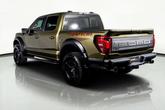 Thumbnail of 2024 Shelter Green Ford F-150