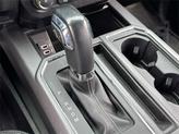 Thumbnail of 2019 MAGNETIC Ford F-150