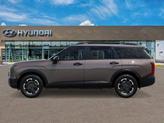 Thumbnail of 2026 Iron Hyundai PALISADE