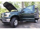 Thumbnail of 2015 Green Gem Metallic Ford F-150