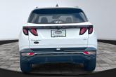 Thumbnail of 2024 White Pearl Hyundai TUCSON