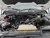 Thumbnail of 2022 White Ford F-150