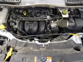 Thumbnail of 2014 White Ford Escape
