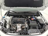 Thumbnail of 2023 White Honda Civic