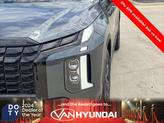 Thumbnail of 2025 Steel Graphite Hyundai PALISADE