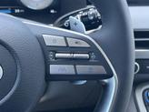 Thumbnail of 2025 Steel Graphite Hyundai PALISADE