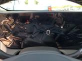 Thumbnail of 2025 Ocean Blue Metallic Buick Encore GX