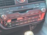 Thumbnail of 2019 Autumn Shimmer Lexus RX 350