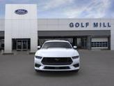 Thumbnail of 2025 Oxford White Ford Mustang