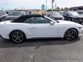 Thumbnail of 2024 Oxford White Ford Mustang