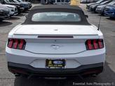 Thumbnail of 2024 Oxford White Ford Mustang