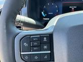 Thumbnail of 2025 Carbonized Gray Metallic Ford F-150