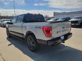 Thumbnail of 2023 Avalanche Gray Ford F-150