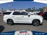 Thumbnail of 2023 Hyper White Hyundai PALISADE