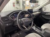 Thumbnail of 2021 Gray Ford Escape