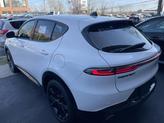 Thumbnail of 2025 Q BALL Dodge Hornet