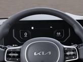 Thumbnail of 2026 Panthera Metal Kia Carnival