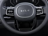 Thumbnail of 2026 Panthera Metal Kia Carnival