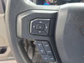 Thumbnail of 2017 Magnetic Ford F-150