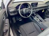 Thumbnail of 2025 Platinum White Pearl Honda Accord