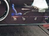Thumbnail of 2024 Gray Genesis G80